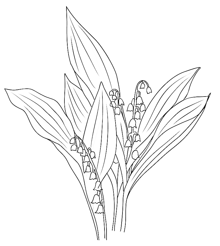 Lily of the Valley May Birth Flower Tattoo